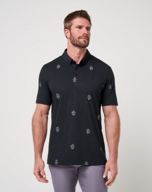Rome Around Polo