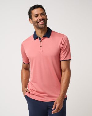 Postcard Book Polo