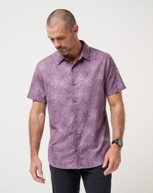 Beach Club Popover Polo